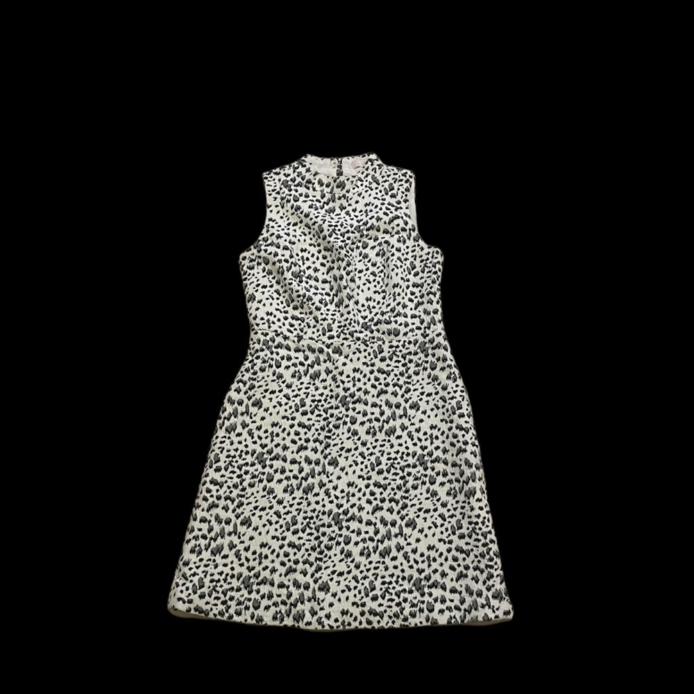 Leopard Print Dress From Loft